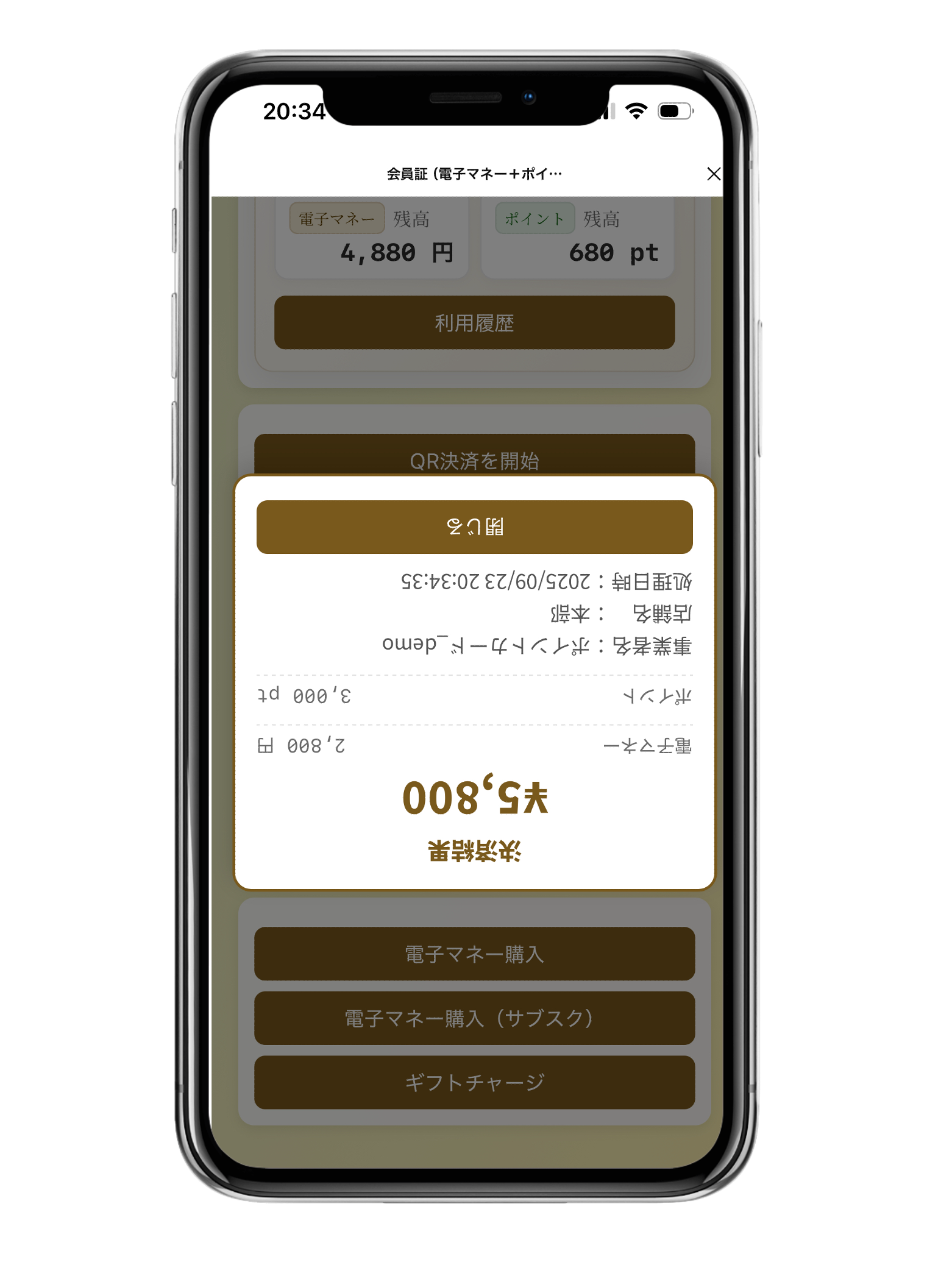 支払金額と使用ポイントを入力